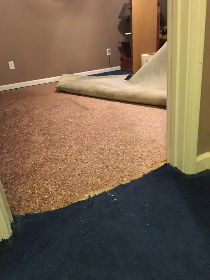 Carpet pad removal revealing water damage during Drying & Dehumidification in Thousand Palms