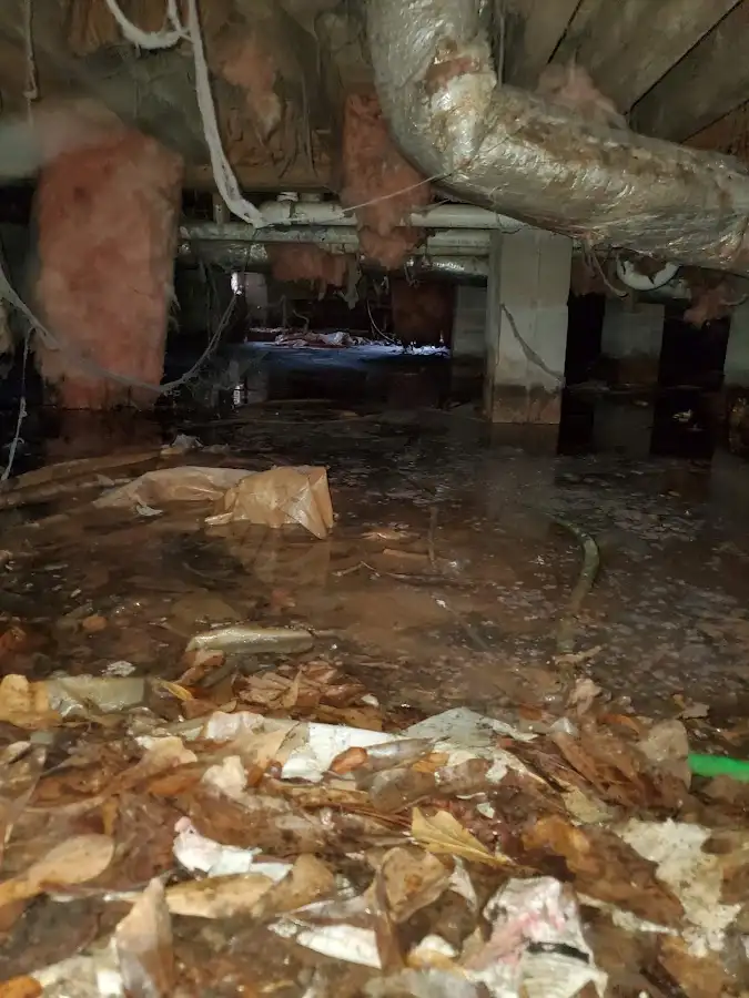 Crawl space flood assessment for Leak Detection & Repair in Thousand Palms