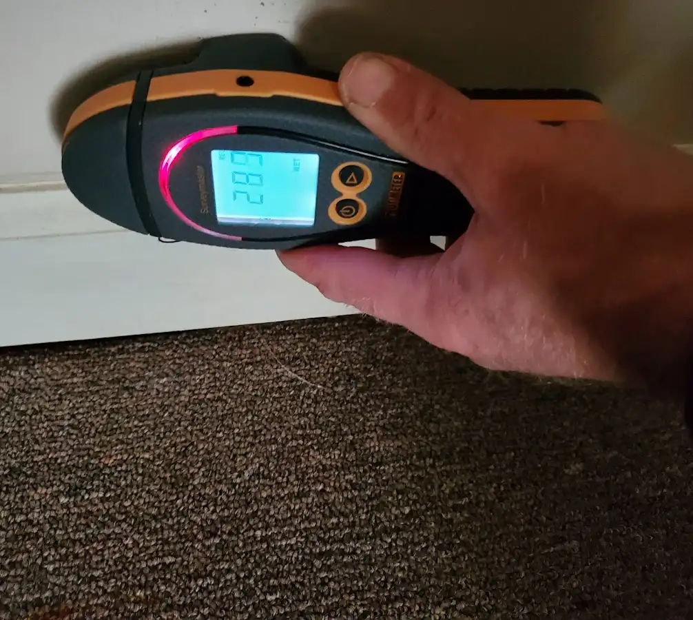 Moisture detection at baseboard during Mold Inspection & Testing in Thousand Palms